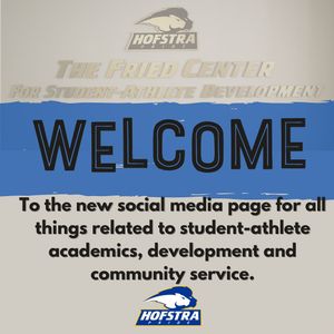 Image post by @hofstrapridepillars on Instagram