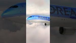 Video post by @koreanair on YouTube