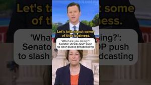 Video post by @msnbc on YouTube
