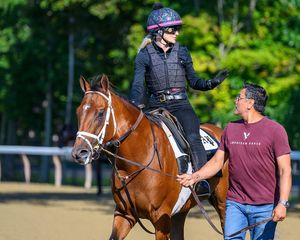 Image post by @thebloodhorse on Instagram
