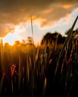 Image post by @brandonberrymedia on Instagram