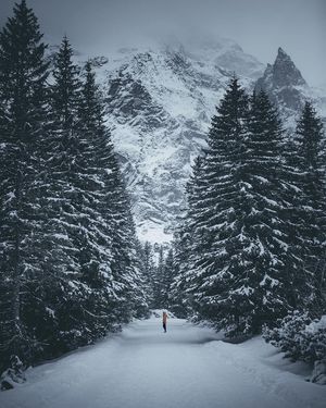 Image post by @kszczuka on Instagram