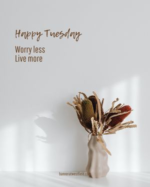Image post by @banneratwestfield on Instagram