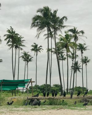 Image post by @traveluvgrapher on Instagram