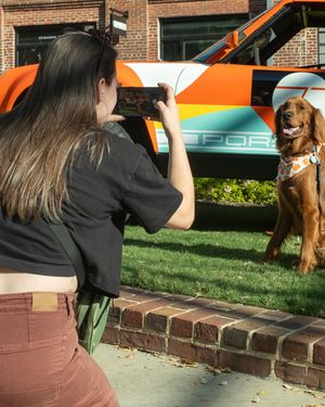 Image post by @luftgekuhlt on Instagram