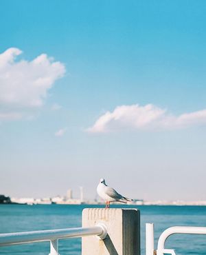 Image post by @vsco on Instagram