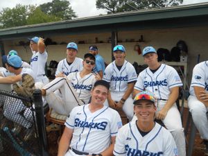 Image post by @ilmsharks on Instagram