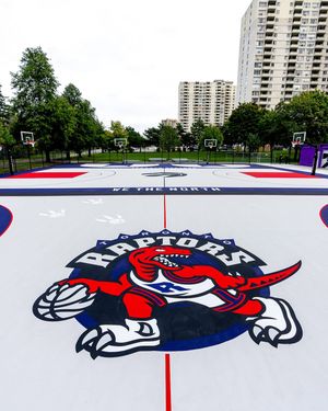 Image post by @raptors on Instagram