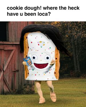 Image post by @poptartsus on Instagram