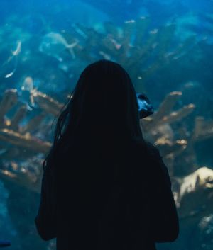 Image post by @rossvaughn_ on Instagram