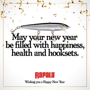Image post by @rapalausa on Instagram