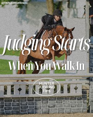 Image post by @theplaidhorsemag on Instagram