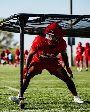 Image post by @unmlobofb on Instagram