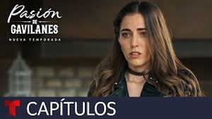 Video post by @telemundo on YouTube