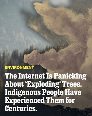 Image post by @outsidemagazine on Instagram