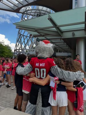 Image post by @ncstate on Instagram
