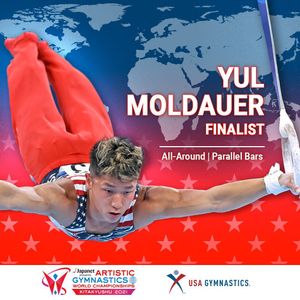 Image post by @usagym on Instagram