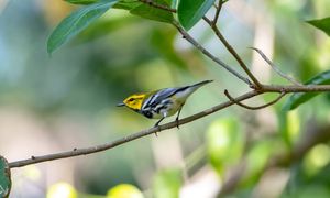 Image post by @deeringestate on Instagram