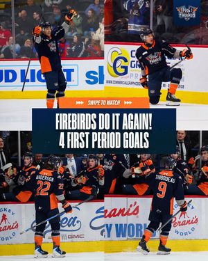 Image post by @flintfirebirds on Instagram