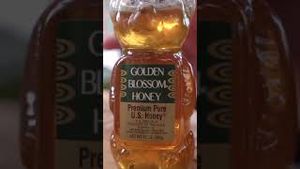 Video post by @grillwithweber on YouTube