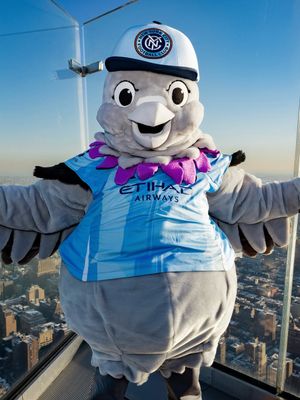 Image post by @skythepigeon on Instagram