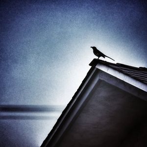 Image post by @brendamoffitt on Instagram