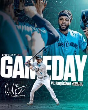 Image post by @goghosthounds on Instagram