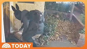 Video post by @today on YouTube