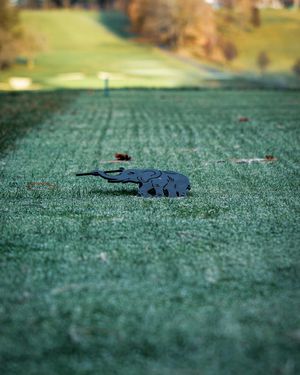 Image post by @unionleaguegolf on Instagram