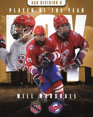 Image post by @aau_collegehockey on Instagram