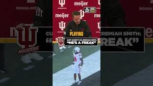 Video post by @cfbonfox on YouTube