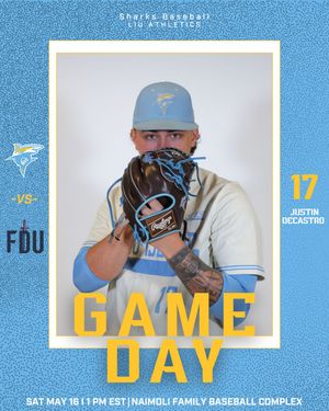 Image post by @liubaseball on Instagram