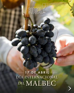 Image post by @riedelpartner_vnzla on Instagram