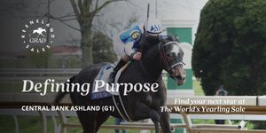 Image post by @keenelandsales on Twitter