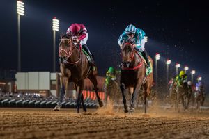 Image post by @thebloodhorse on Instagram