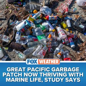 Image post by @foxweather on Instagram