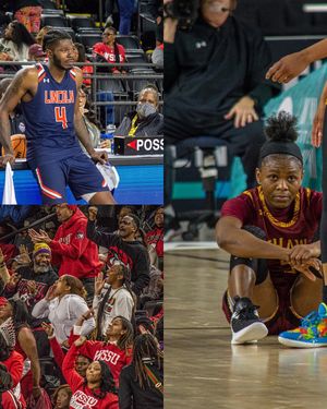 Image post by @sn33kclips on Instagram