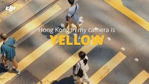 Video post by @dji on YouTube