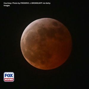 Video post by @foxweather on TikTok