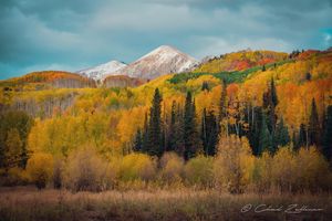 Image post by @chadzellmer on Instagram