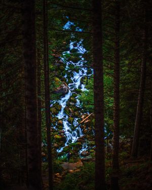 Image post by @jaumeboldu on Instagram