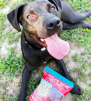 Image post by @charlee_bear_dogtreats on Instagram