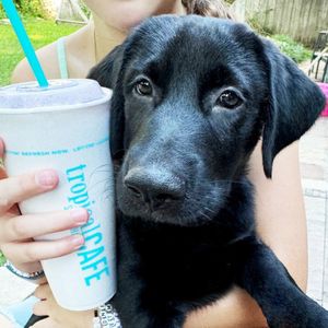 Image post by @tropicalsmoothiecafe on Instagram