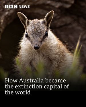 Image post by @bbcnews on Instagram