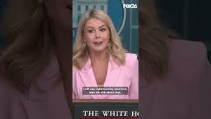 Video post by @kmphfox26 on YouTube