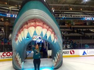 Image post by @sanjosesharks on Instagram