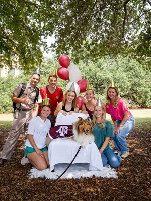 Image post by @reveille on Twitter