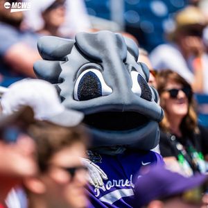 Image post by @tcu.superfrog on Instagram