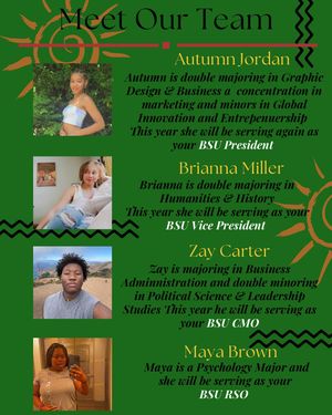 Image post by @duc.bsu on Instagram