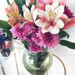 Image post by @catcatoura on Instagram